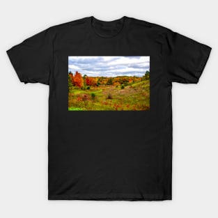 "Autumn Valley" T-Shirt